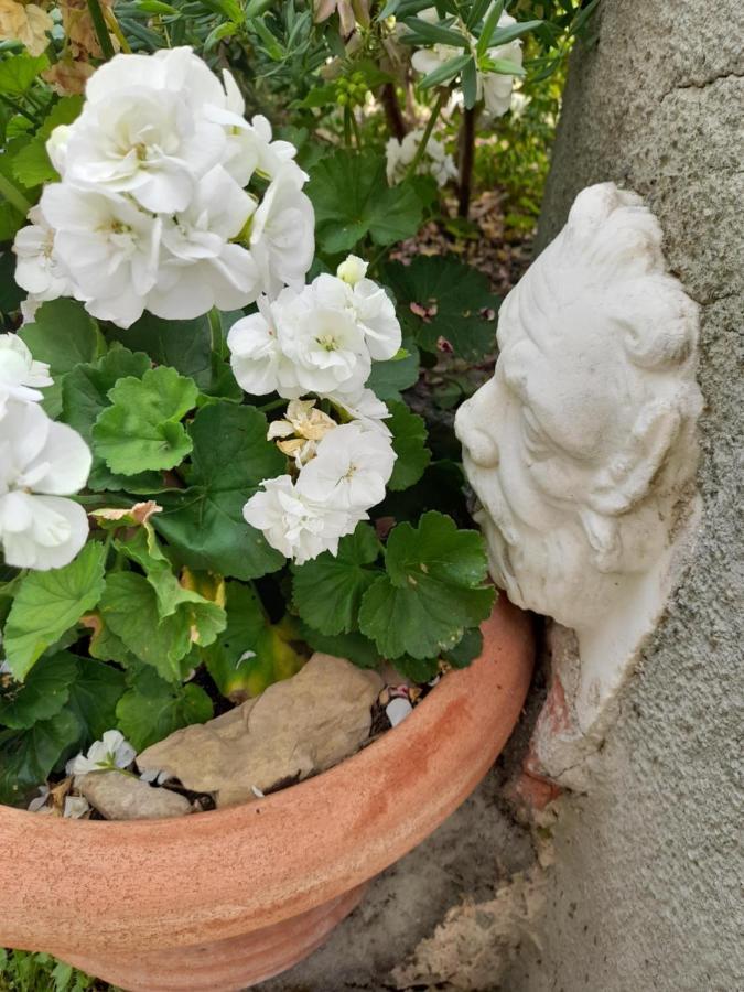 Monti Guesthouse Monti di Licciana Nardi Zewnętrze zdjęcie